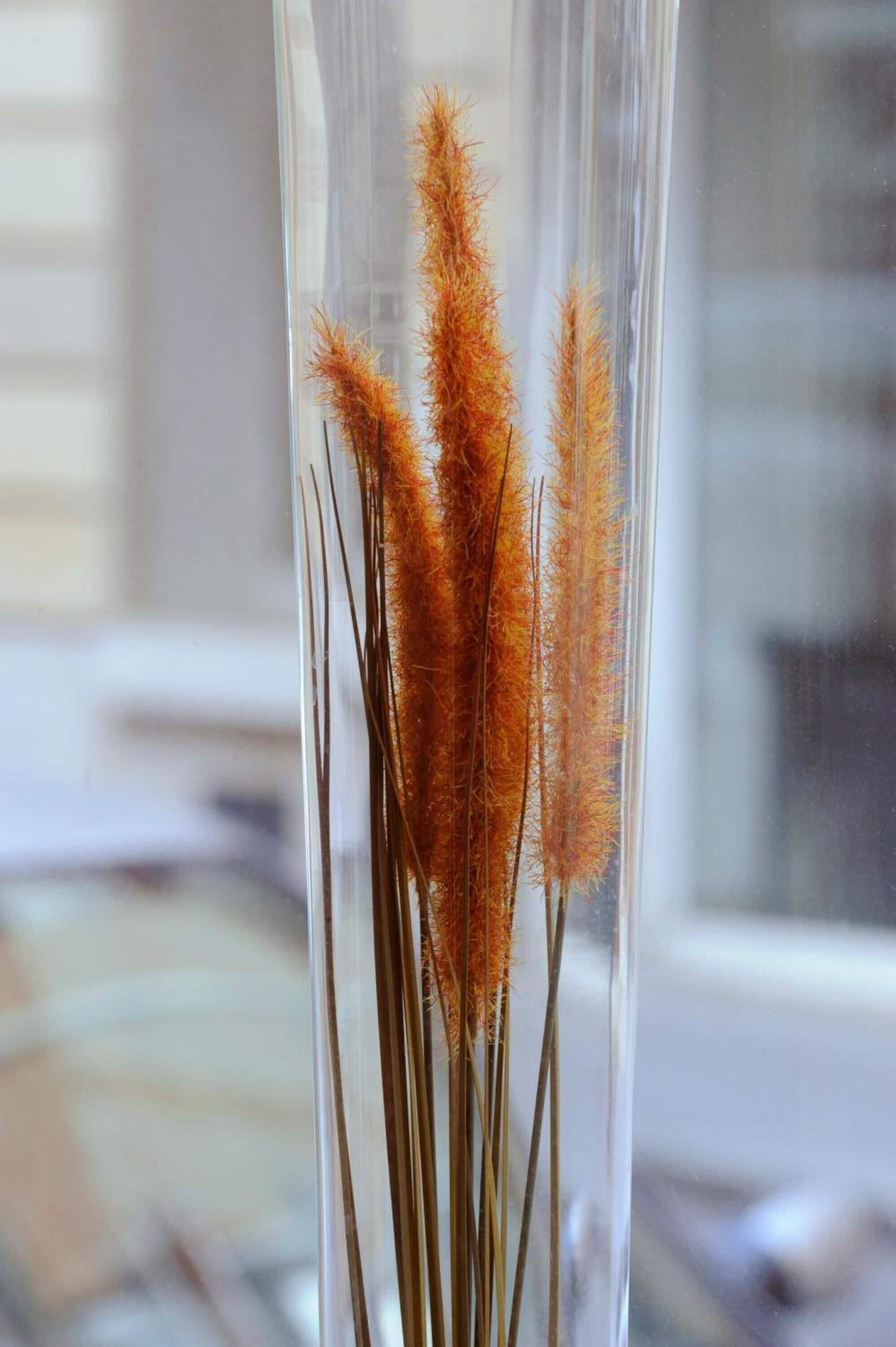 Printania Porte De Versailles Hotel Parigi